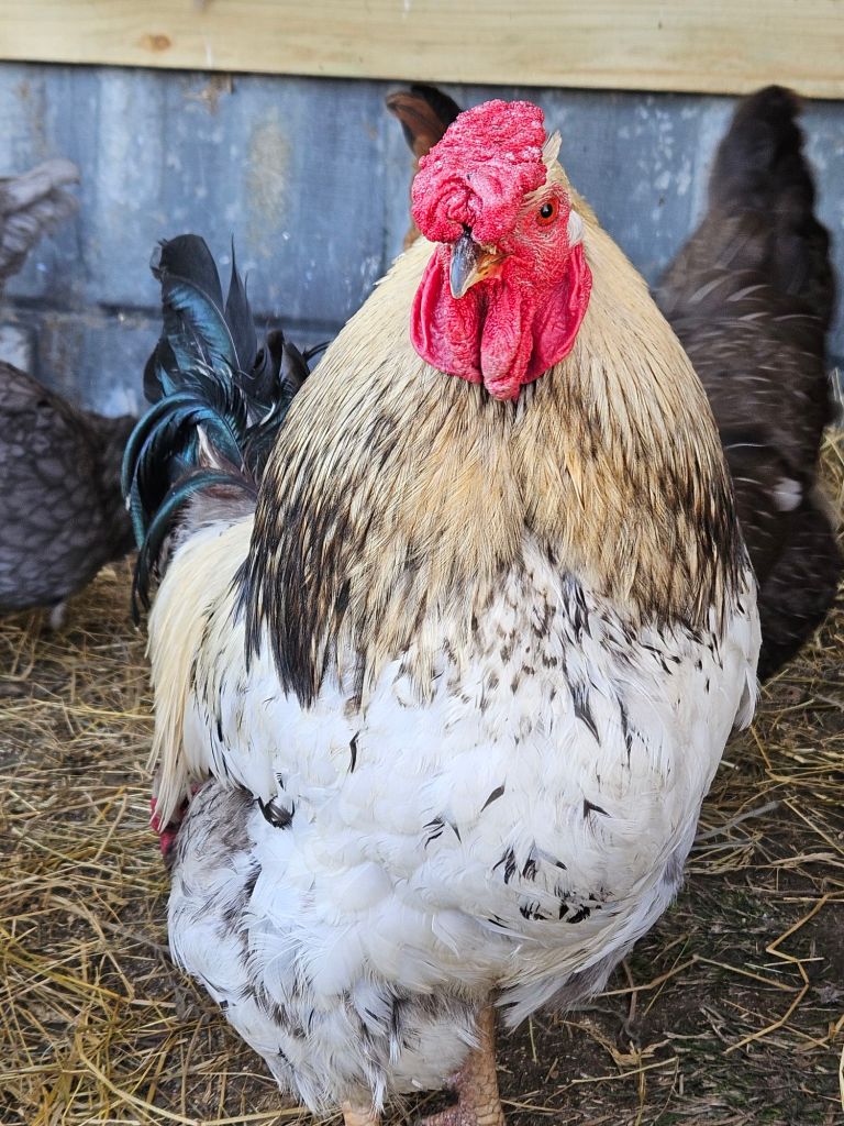 20240313_1456412709777551138309628